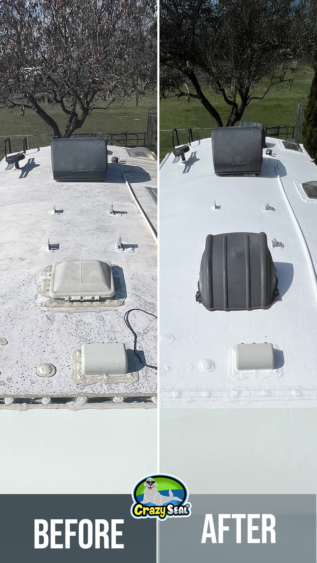 Project #4048: Climbing Ladders, Sealing Roofs