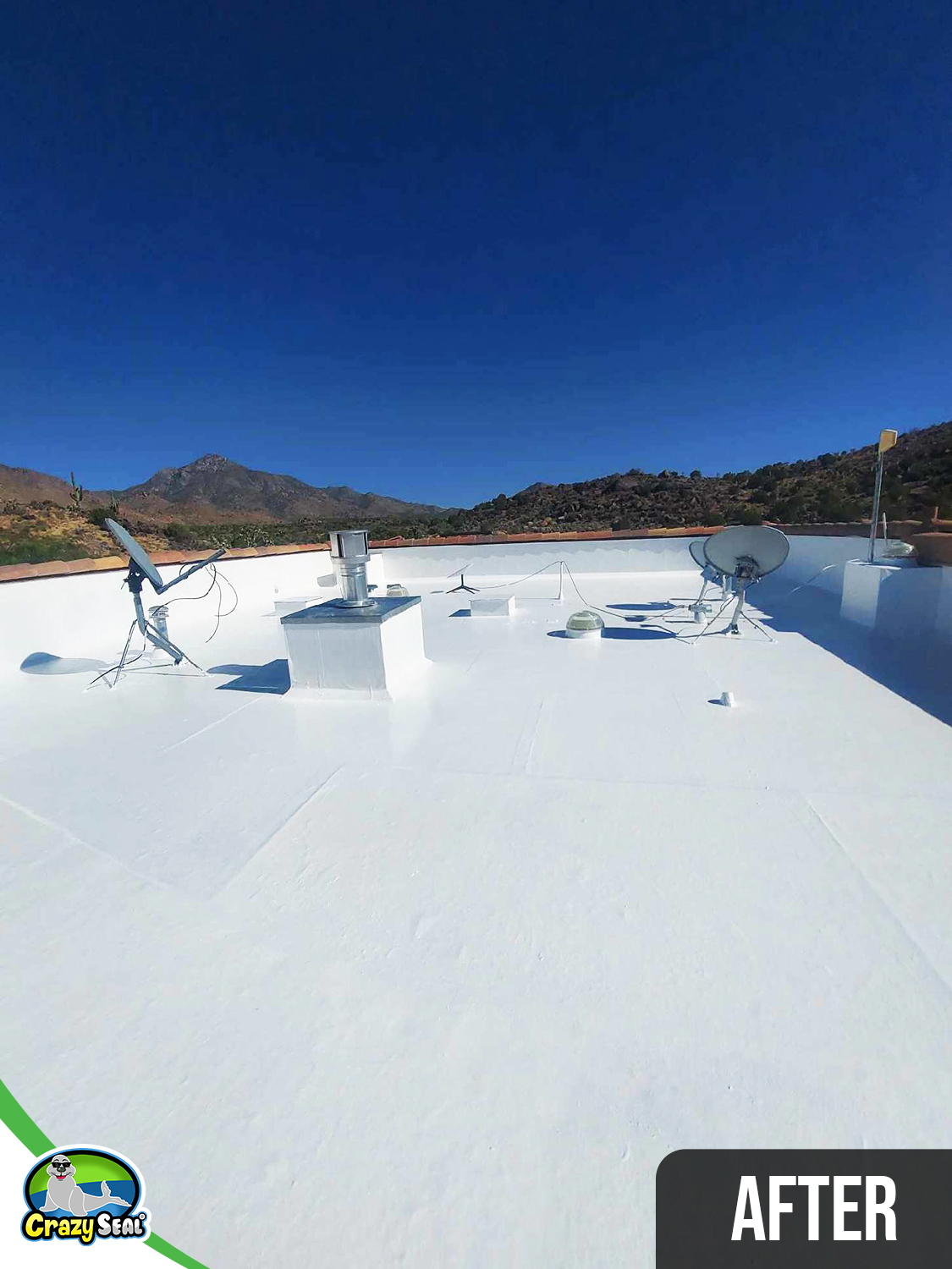 Project #4438: From Worn Flat Roof to Seamless Commercial Strength