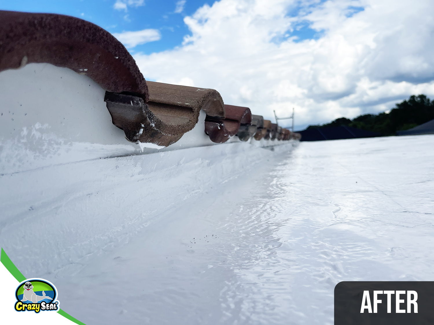 Project #5207: Florida Lanai Sealed and Reinforced for All-Weather Protection