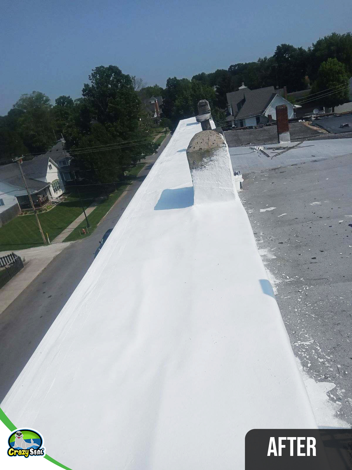 Project #5113: Commercial Roof Revived with a Seamless Overlay