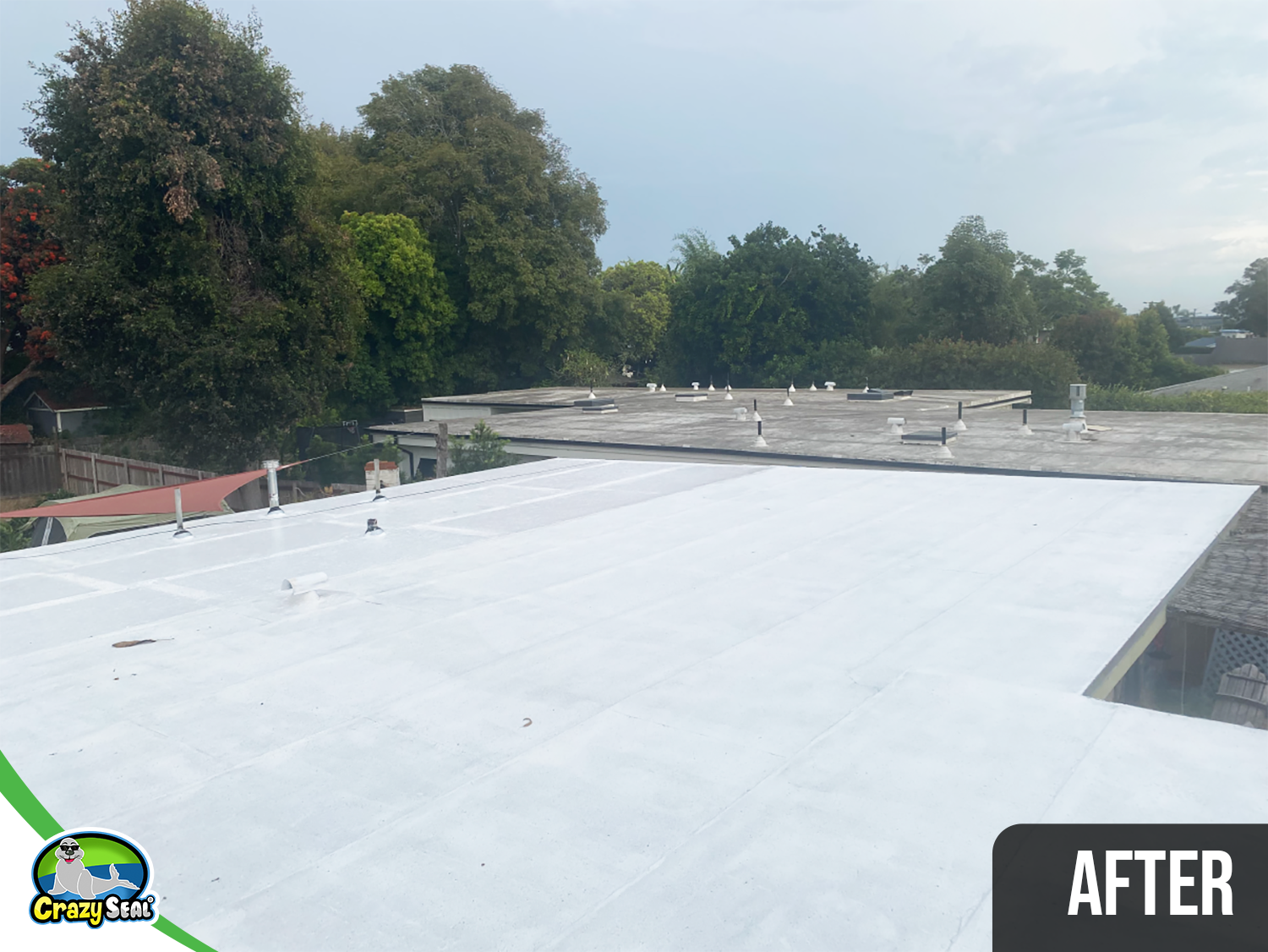 Project #5344: DIY Residential Roof That Sealed the Deal
