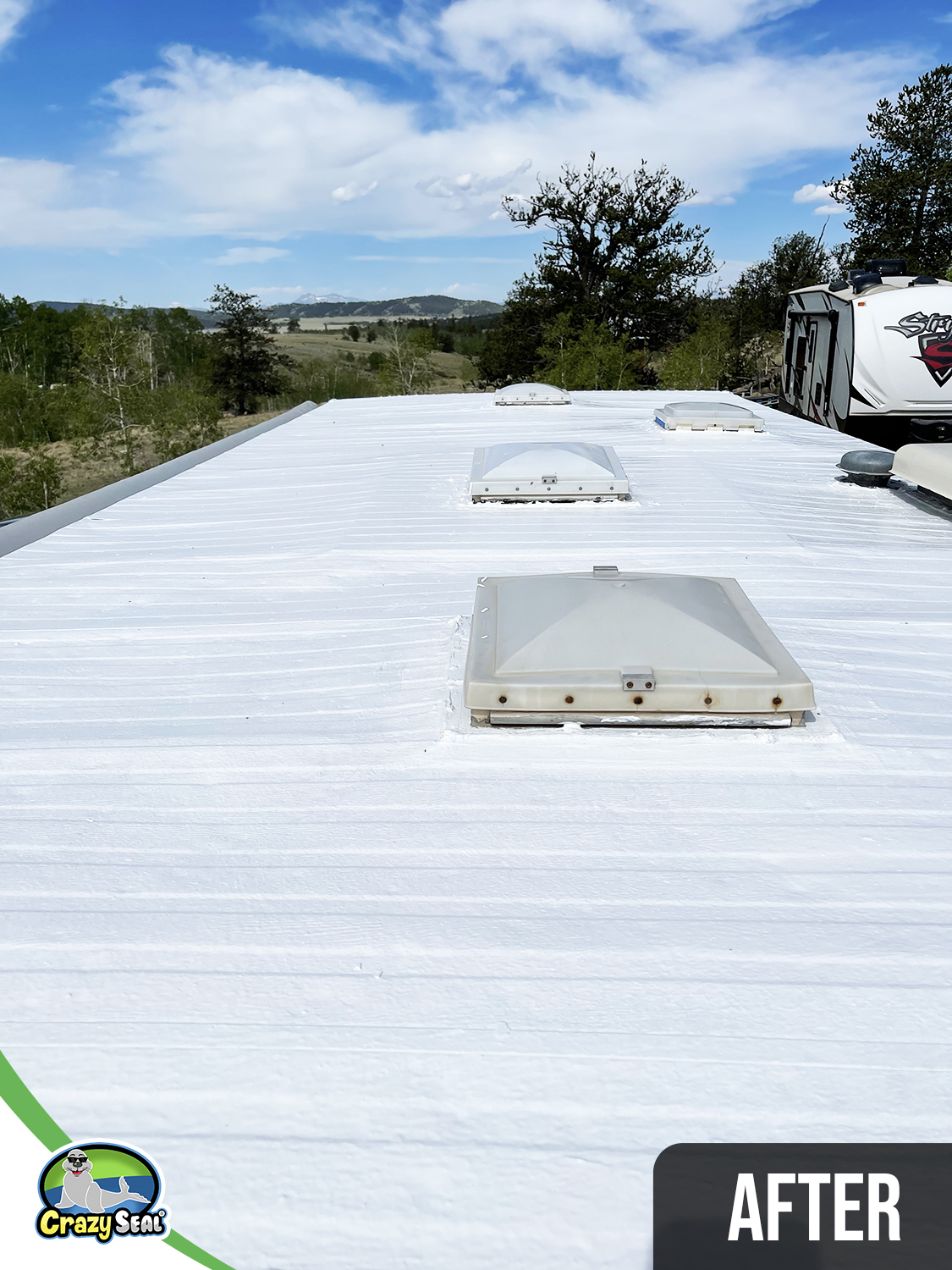 Project #3399: Seamless RV Roof Success with Top-Notch Support