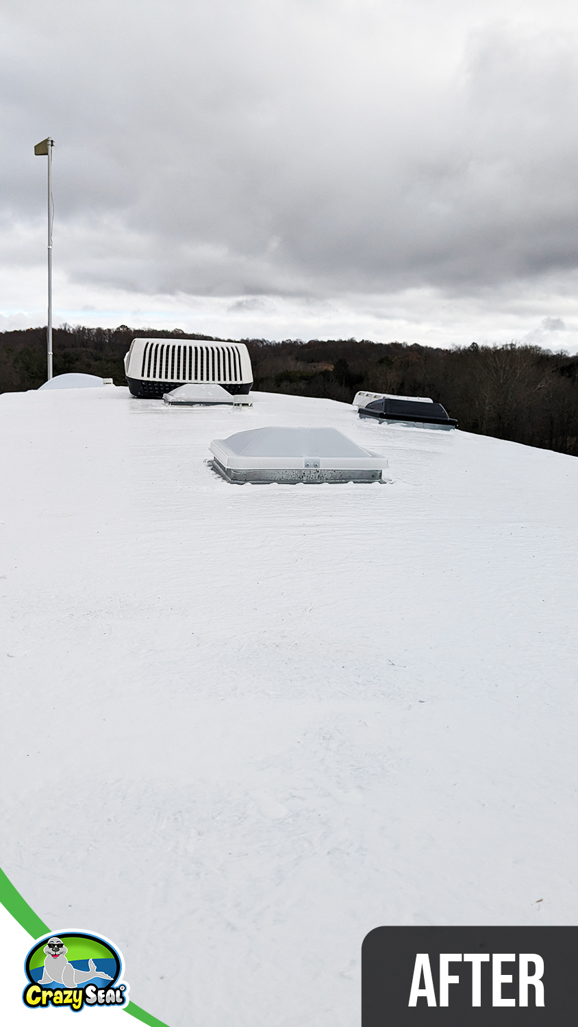Project #3786: DIY Roof Revival with the Right Upgrade