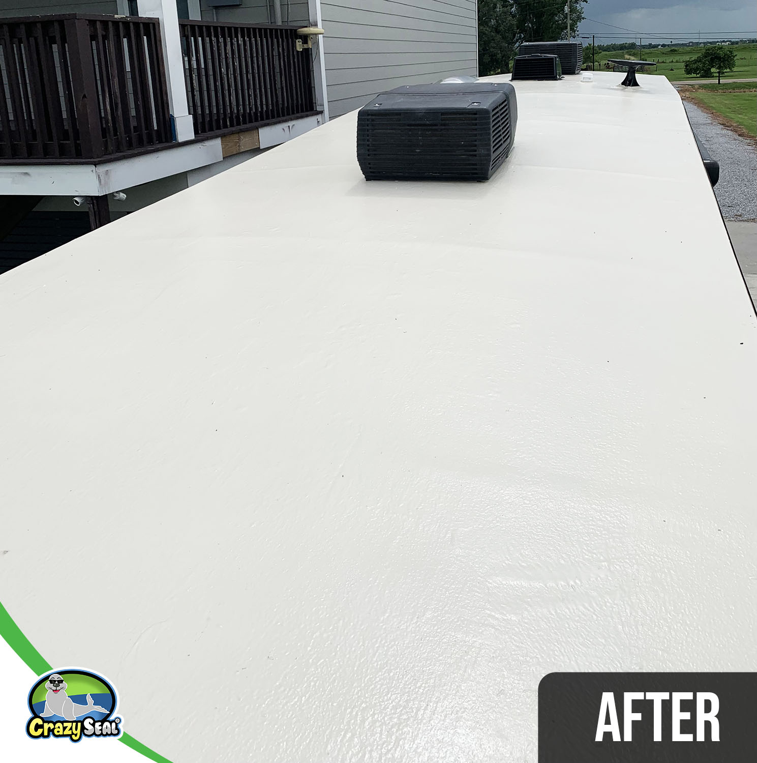 Project #3356: Easy Instructions, Impressive Results
