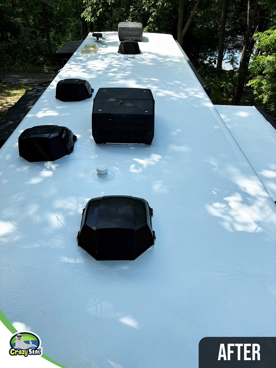 Project #4949: Clean Coverage, Confident Expectations