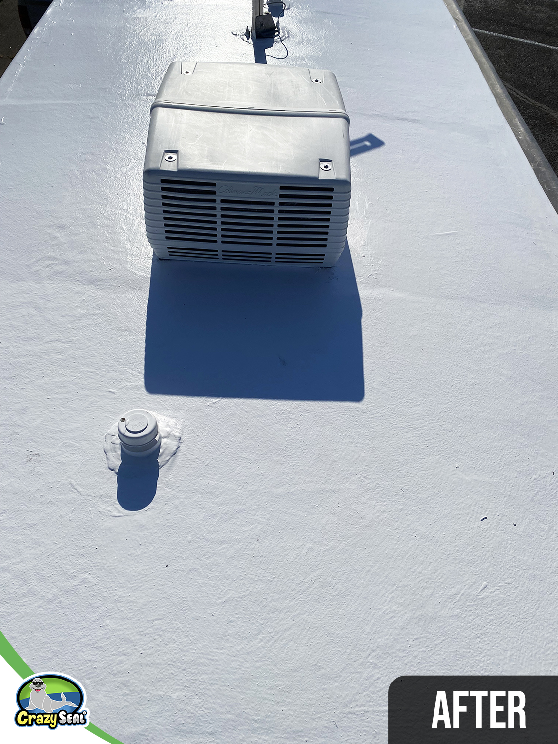 Project #5170: Worry-Free Roof, DIY Savings